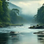 рдорд╣рд┐рд▓рд╛рдПрдВ рдкрд░реНрдпрд╛рд╡рд░рдг рд╕рдВрд░рдХреНрд╖рдг рдХреЗ рдкреНрд░рддрд┐ рдкреНрд░рд╛рдЪреАрди рдХрд╛рд▓ рд╕реЗ рдЬрд╛рдЧрд░реВрдХ рд░рд╣реА