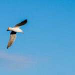 Kavita - рдЬреАрд╡рди рд╕реБрдЧрдо рдмрдирд╛ рджреЛ | Jeevan sugam bana do