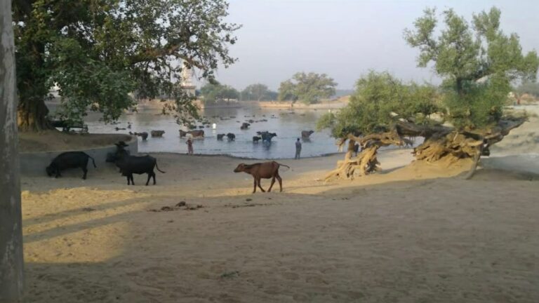 बीबीपुर: एक गांव की कहानी